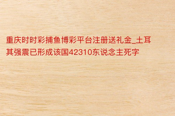 重庆时时彩捕鱼博彩平台注册送礼金_土耳其强震已形成该国42310东说念主死字
