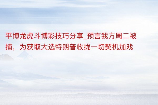 平博龙虎斗博彩技巧分享_预言我方周二被捕，为获取大选特朗普收拢一切契机加戏